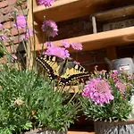 Holiday home Rosehill 1699 - Stilvolles Hideaway, Berge &