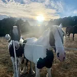 Rosehill 1699 - Stilvolles Hideaway, Berge & Eisemroth