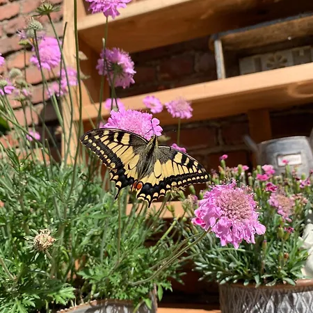 度假居 Rosehill 1699 - Stilvolles Hideaway, Berge &