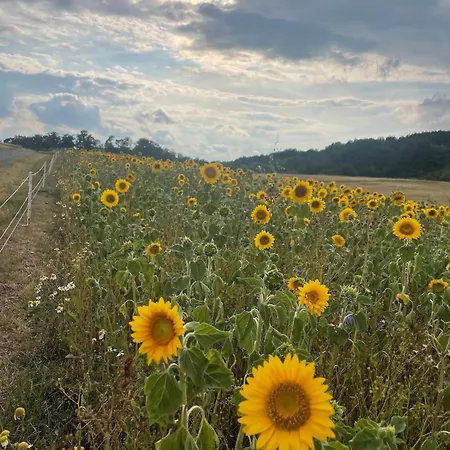 度假居 Rosehill 1699 - Stilvolles Hideaway, Berge & Eisemroth