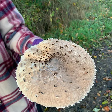 Rosehill 1699 - Stilvolles Hideaway, Berge & 度假居 Eisemroth