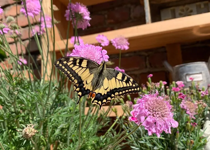 Holiday home Rosehill 1699 - Stilvolles Hideaway, Berge &